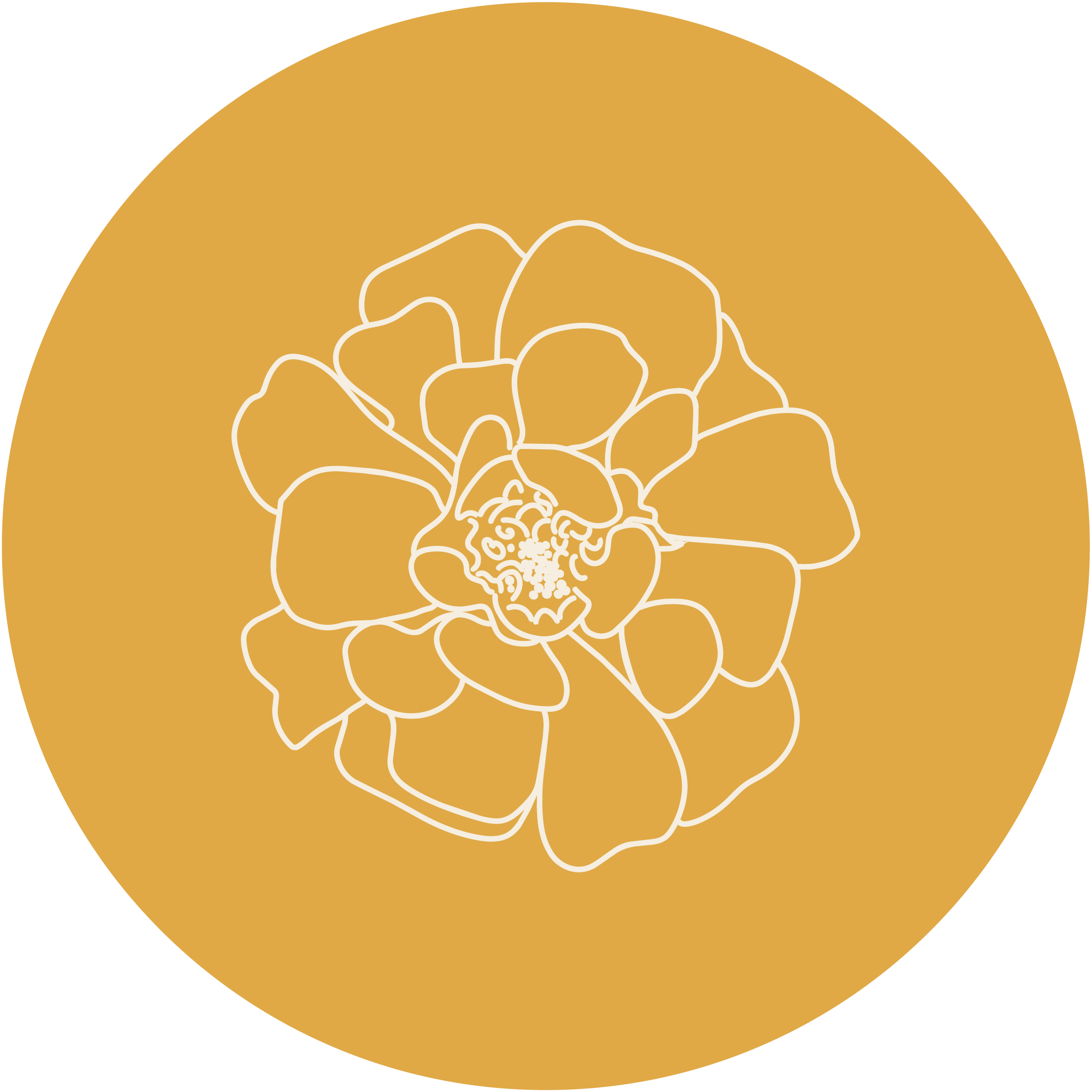 white line drawing of a French marigold flower on a circle yellow background.