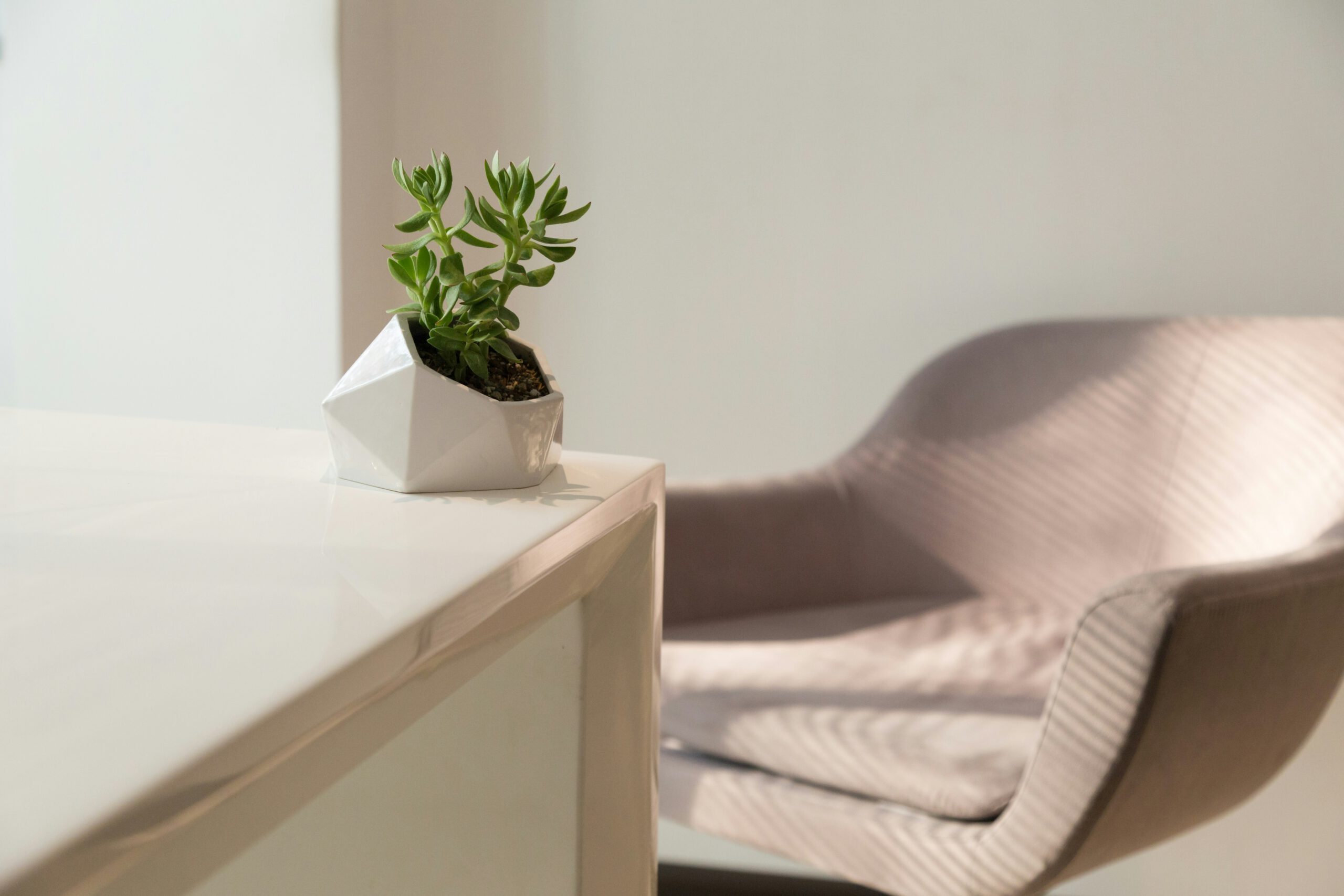 white desk on the left side with a small potted plant on the corner. On the right, there is a soft pink office chair. White walls behind the desk, chair, and plant.