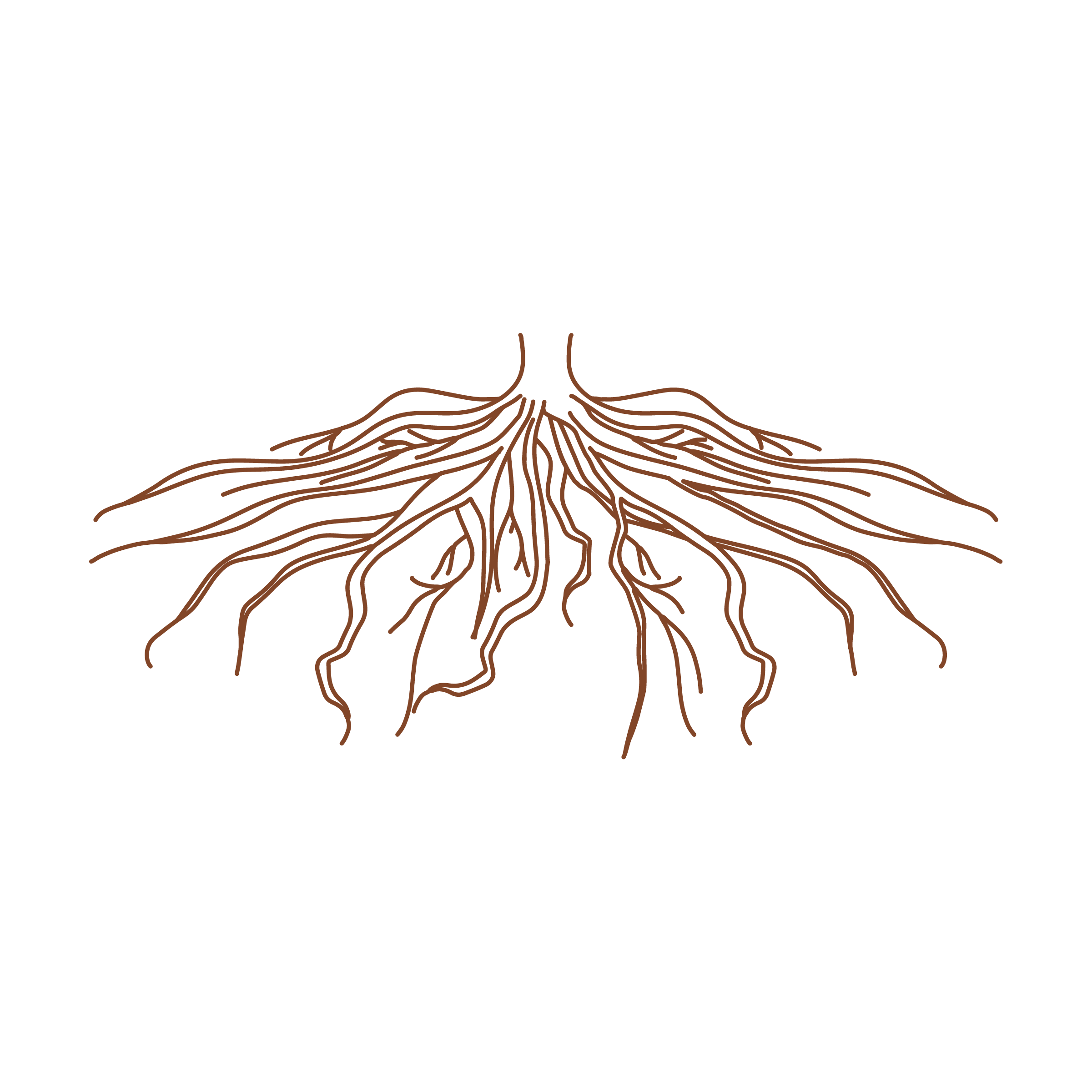 brown line drawing of tree roots