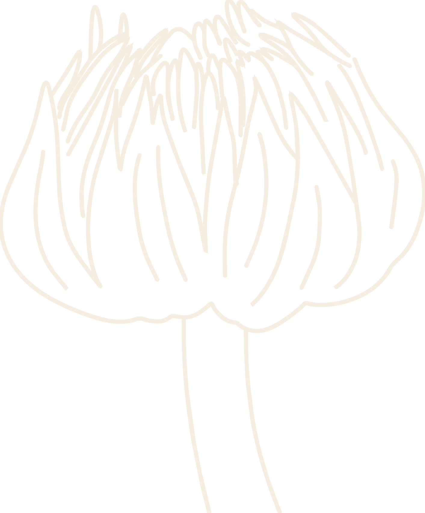 a cream line drawing of a marigold flower bud.