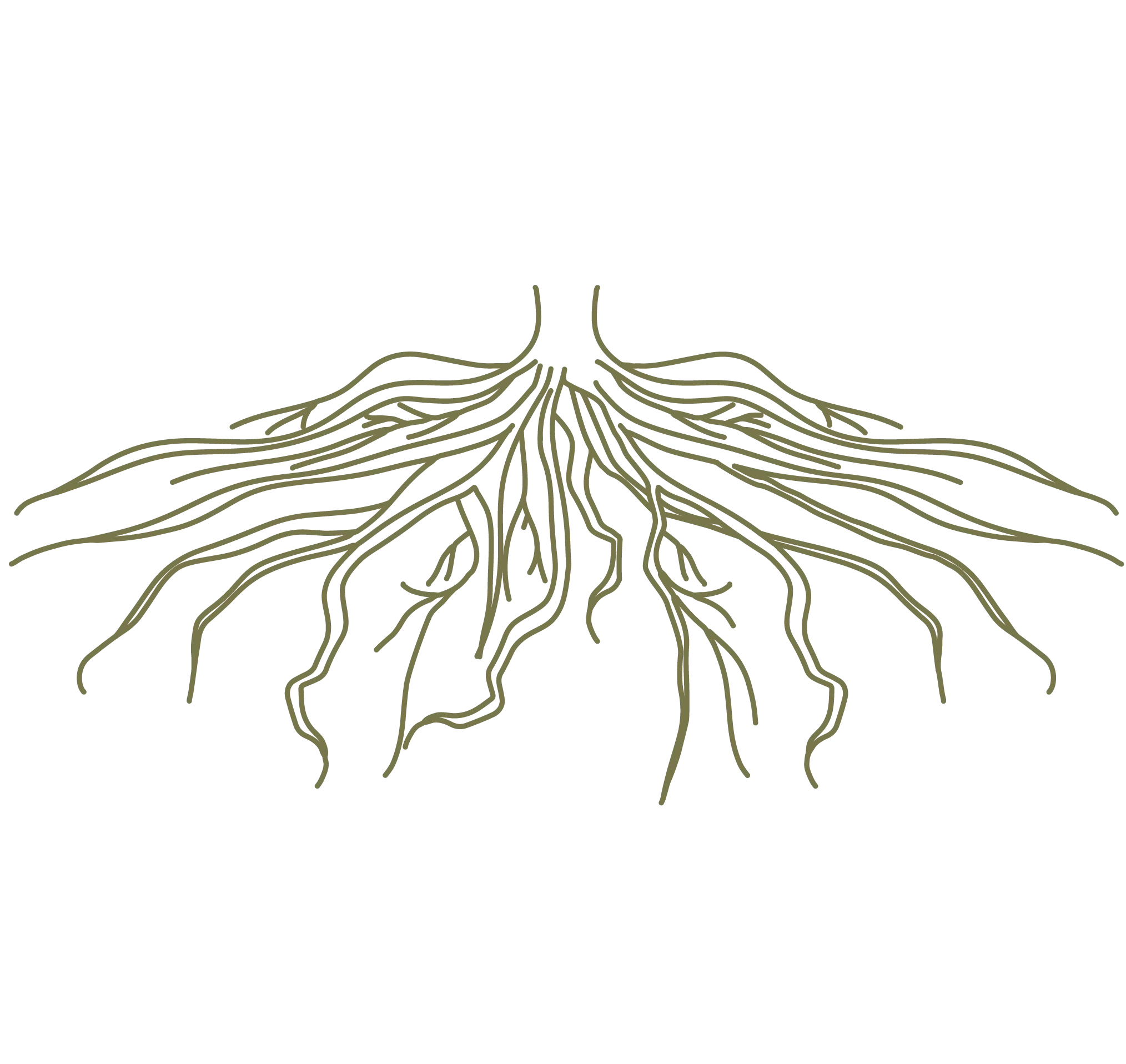 moss green tree roots line drawing