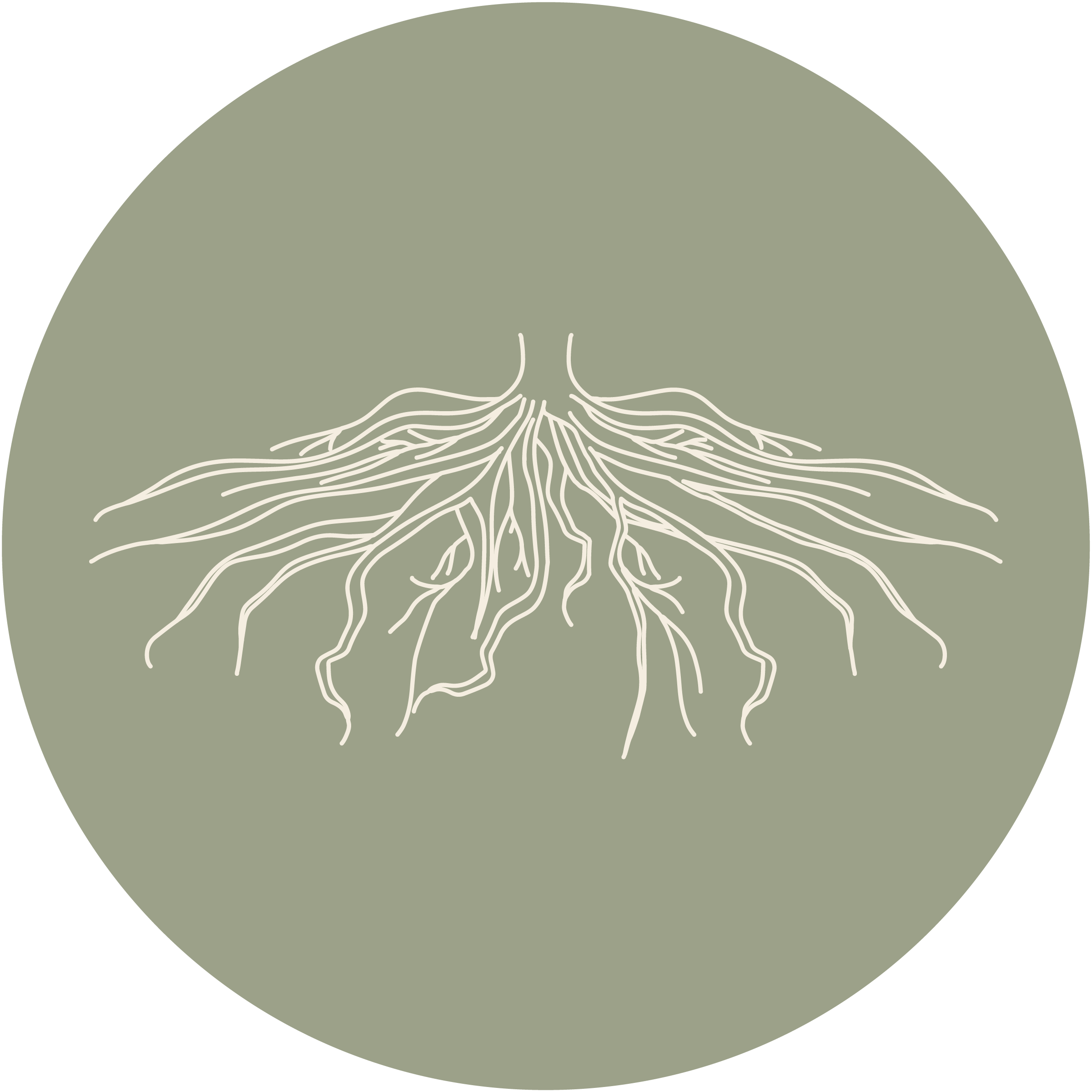 A line drawing of tree roots in white on a soft green circle background.