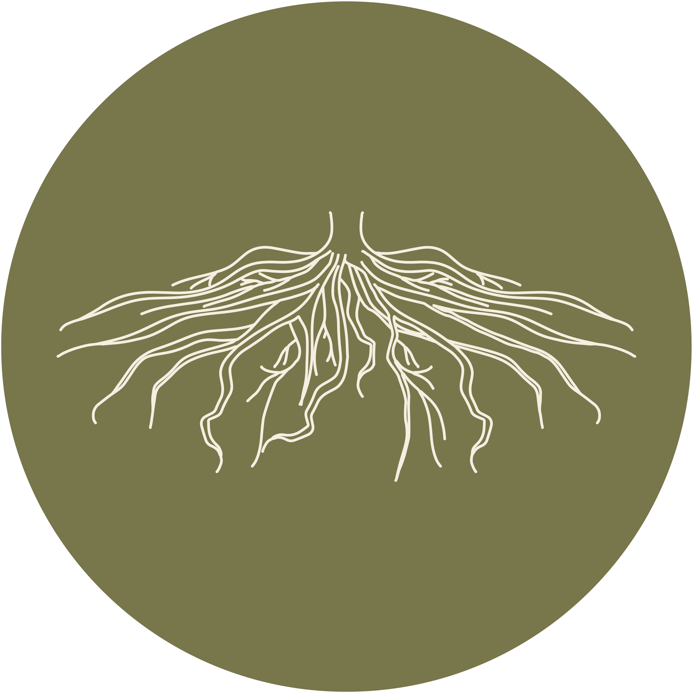 A line drawing of tree roots in white on a dark green circle background.