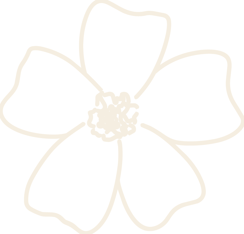A cream line drawing of a signet marigold flower.