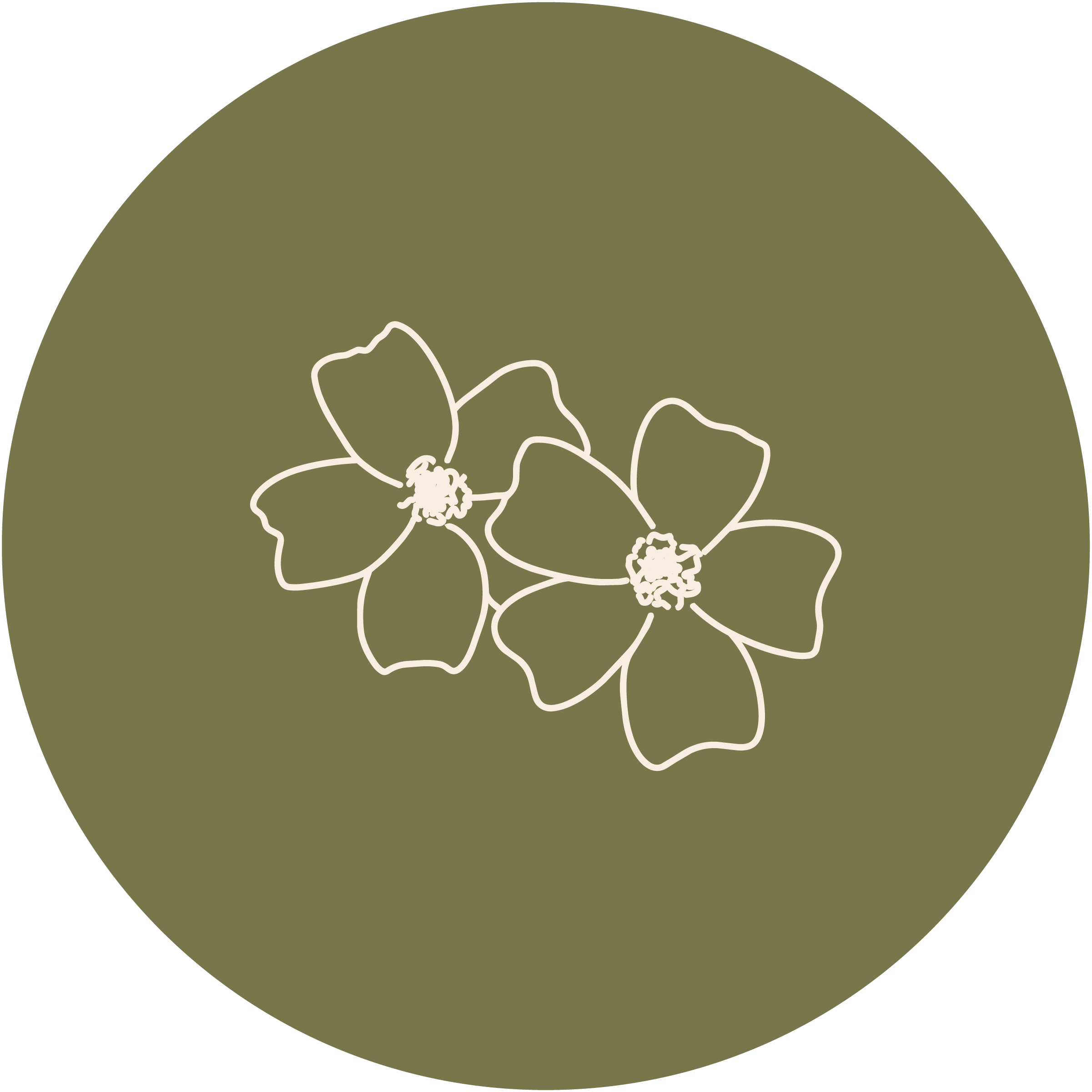 White line drawing of two signet marigolds on a moss green circle background.